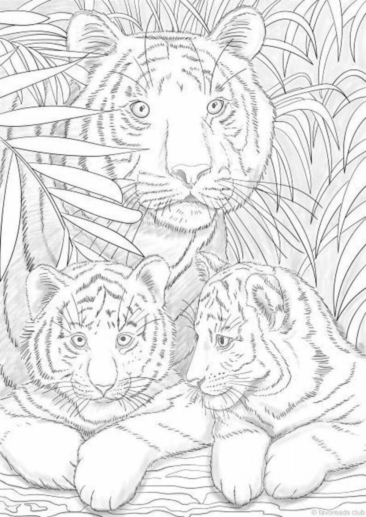 Раскраска игривая семья тигров