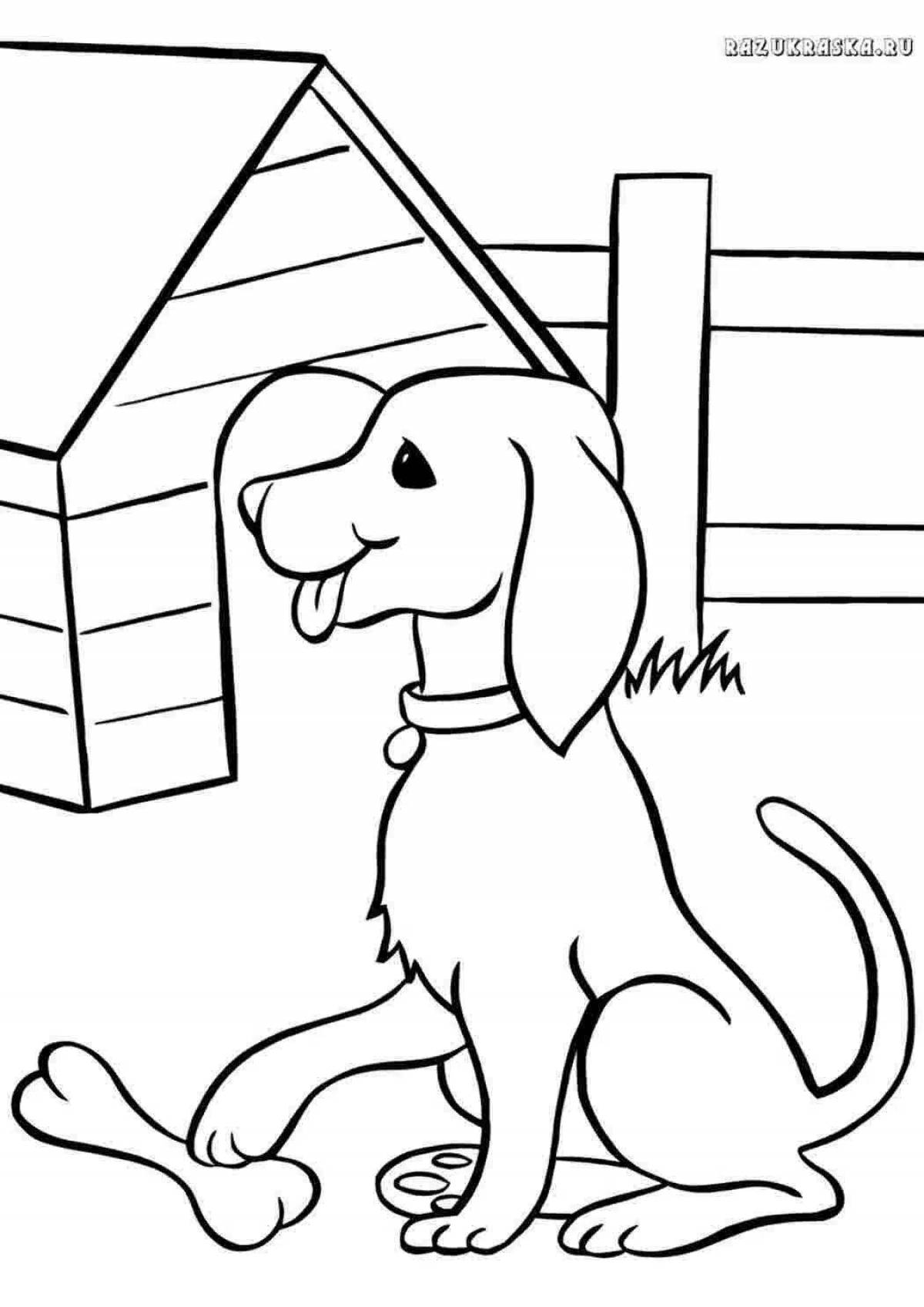 Colouring bright dog house