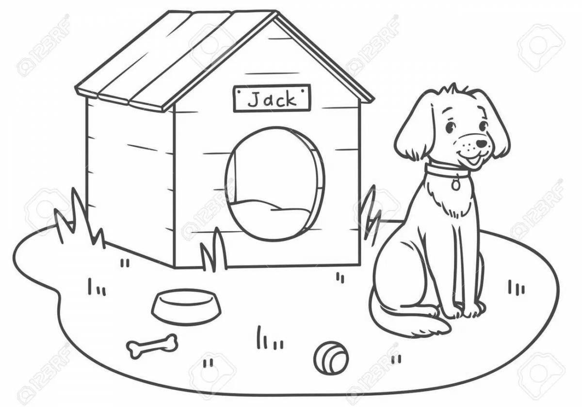 Colouring funny doghouse