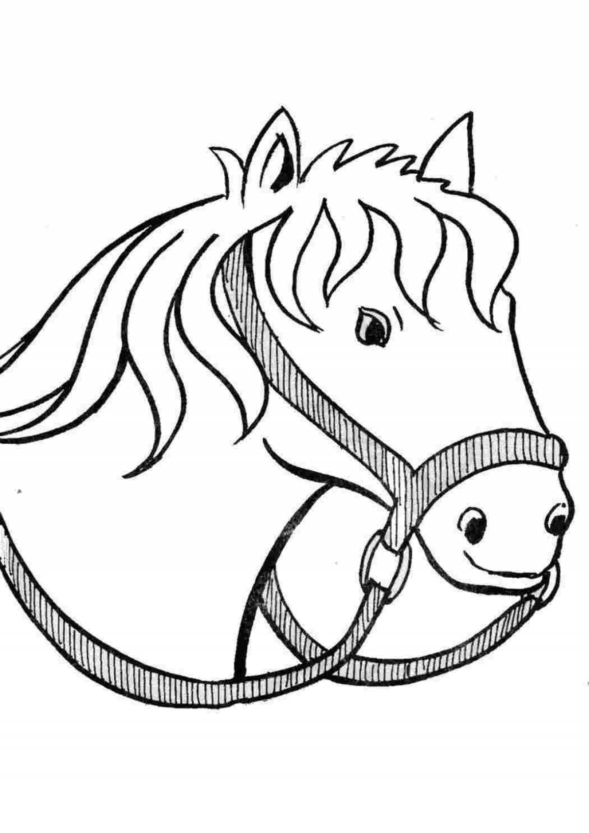 Majestic horse head coloring book