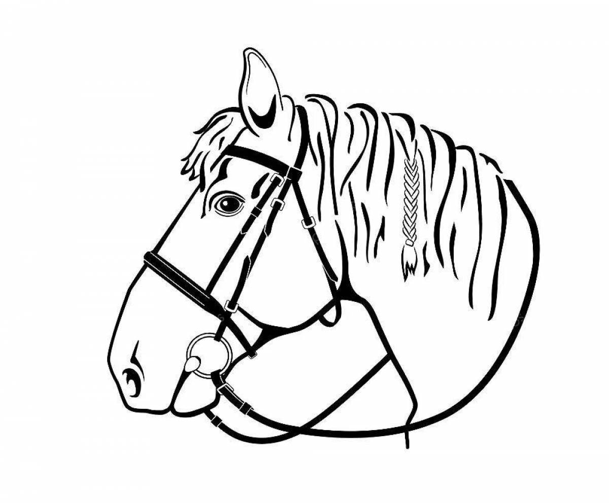 Exquisite horse head coloring book