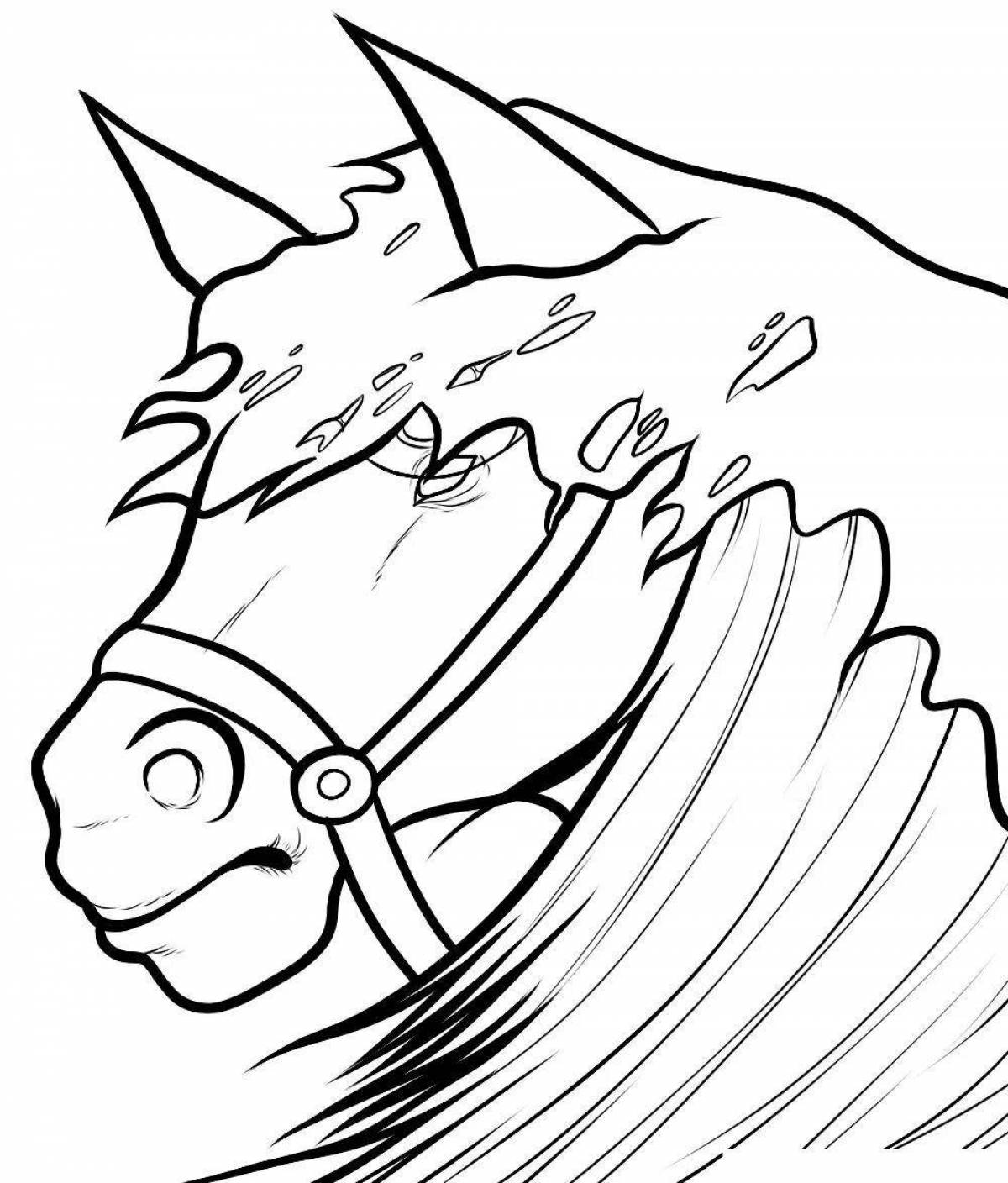 Amazing horse head coloring book