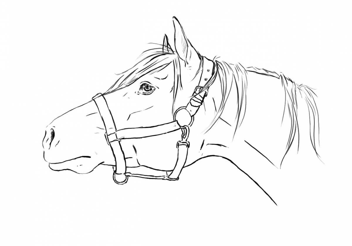 Glitter horse head coloring book