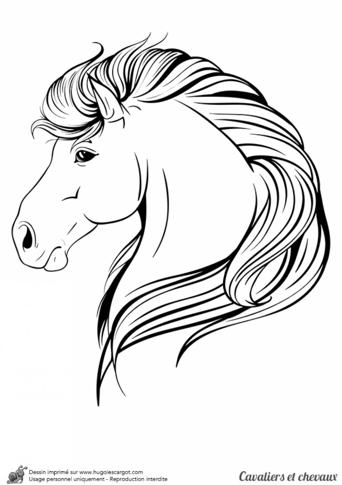 Королевская раскраска голова лошади