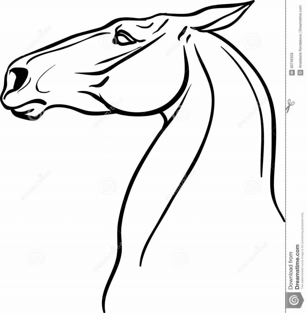 Elegant coloring horse head