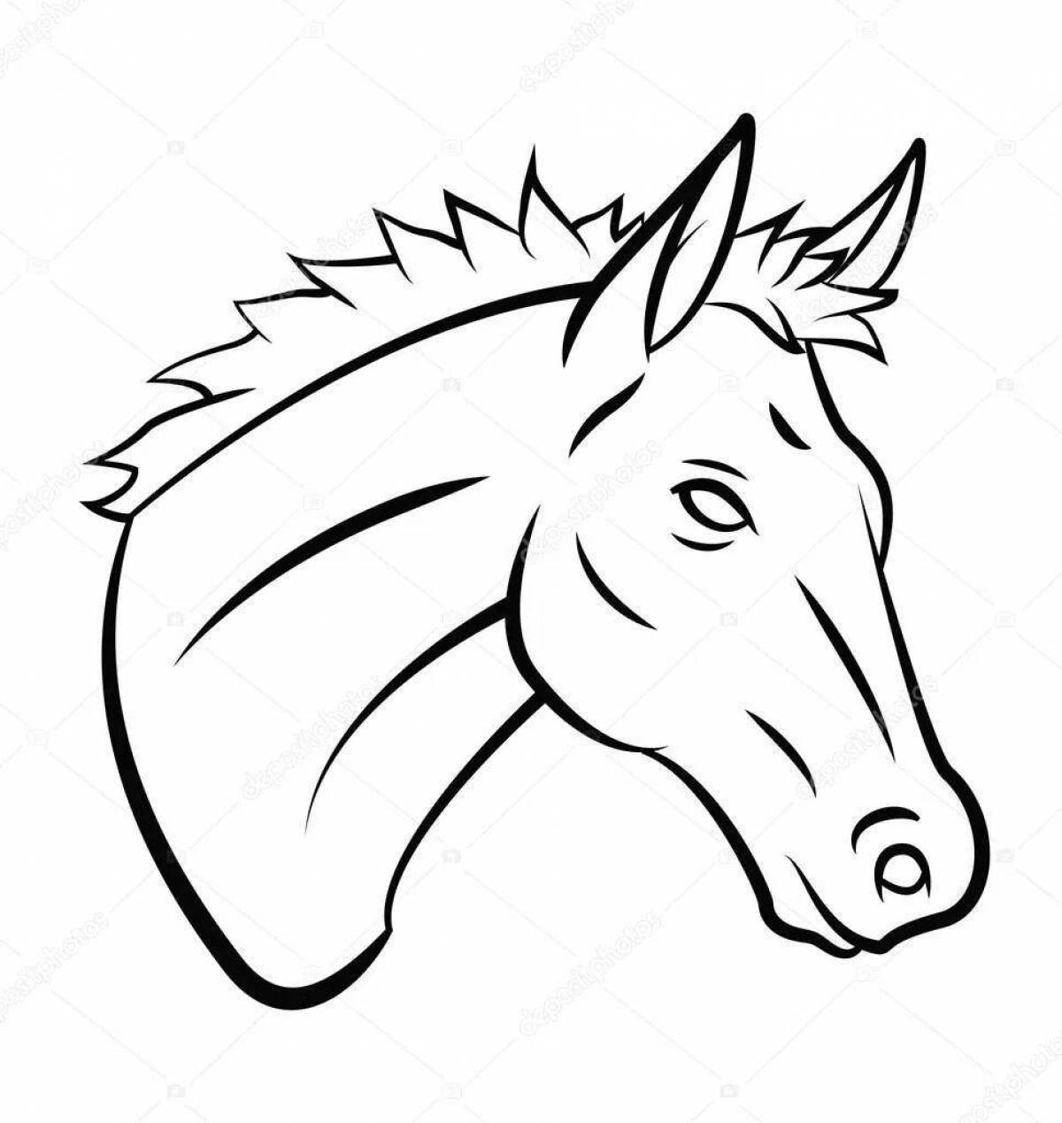 Dazzling horse head coloring book
