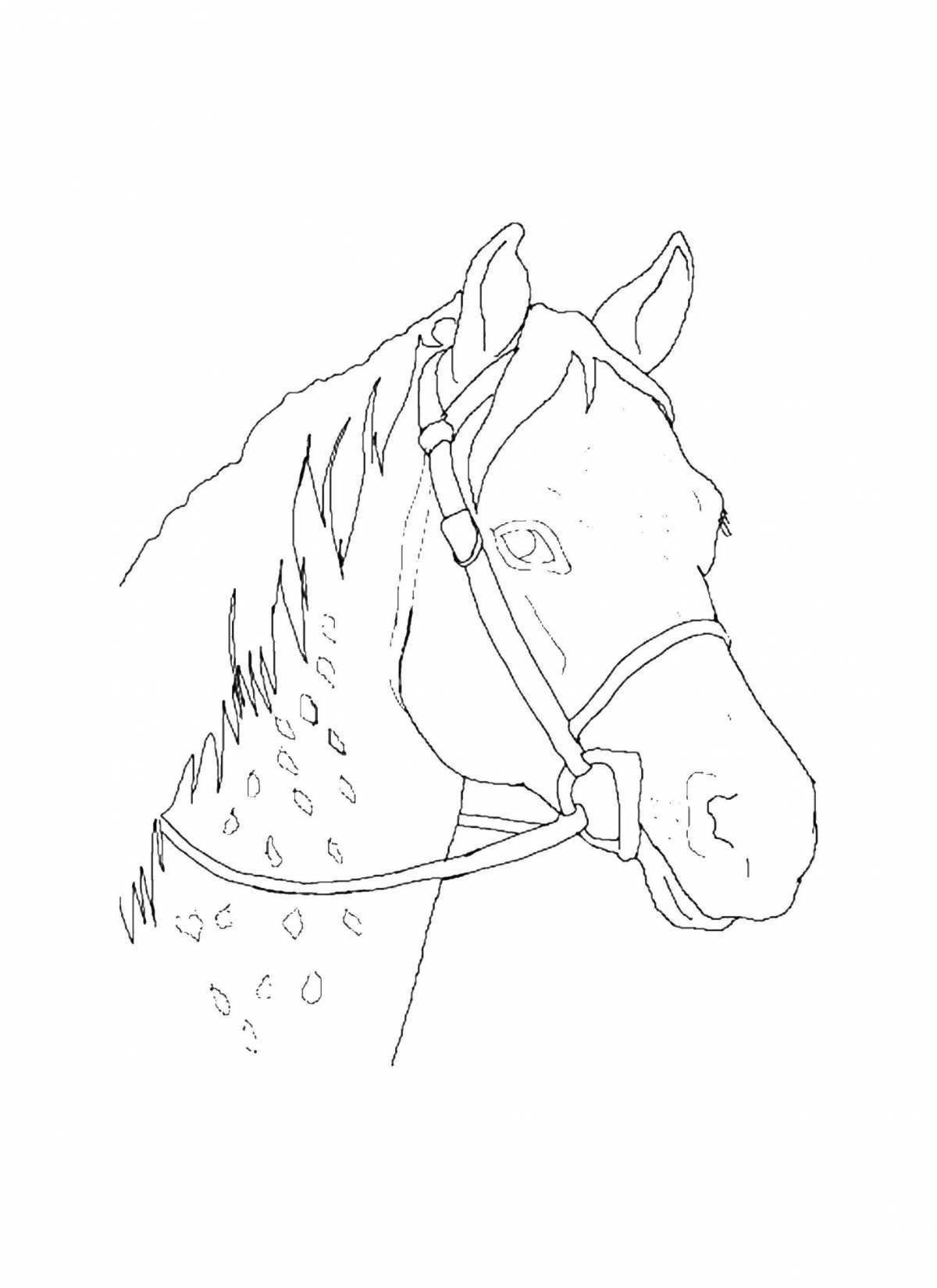 Буйная раскраска голова лошади