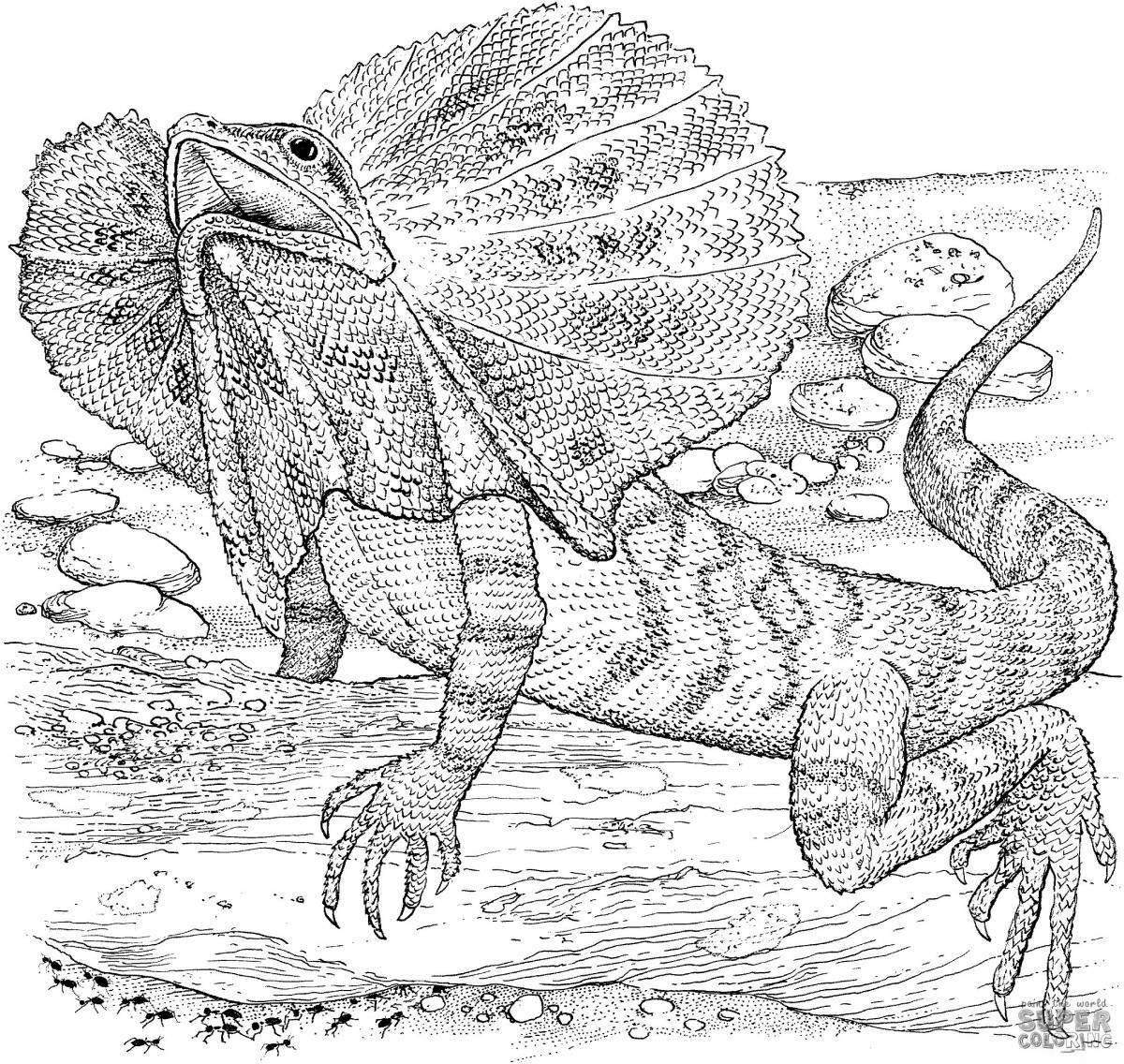 Colorful frilled lizard coloring page