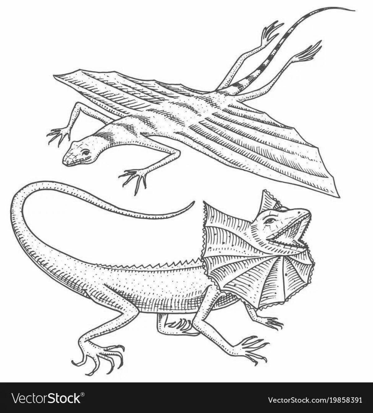 Coloring page magnificent frilled lizard