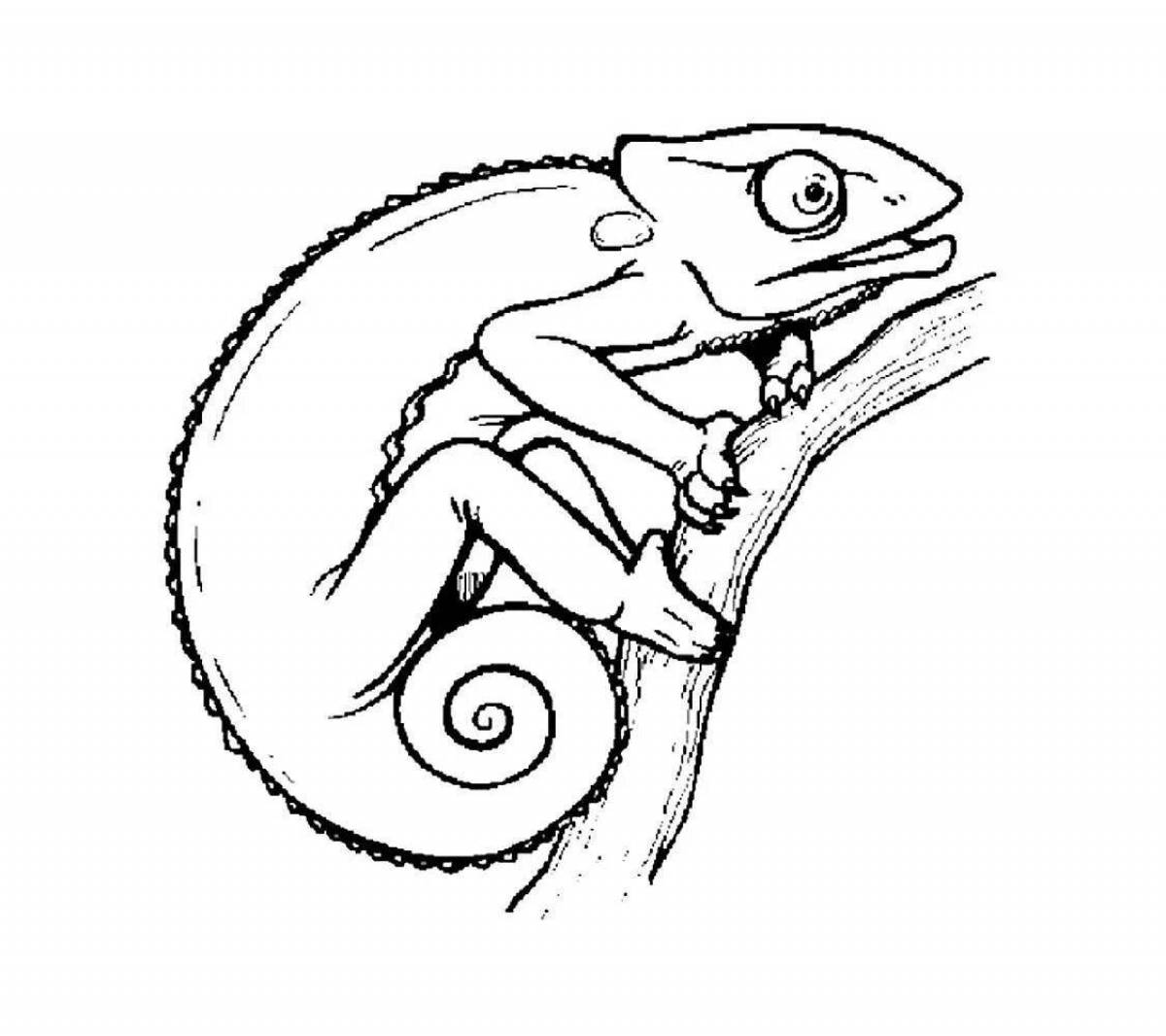Coloring page nice frilled lizard