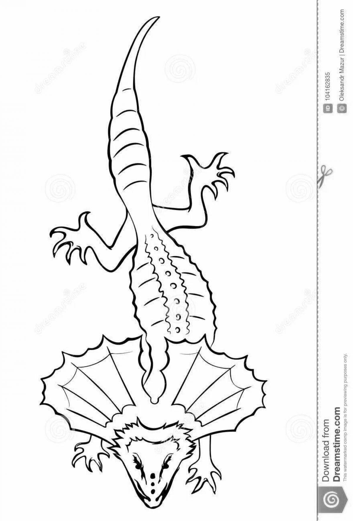 Photo Coloring book shining frilled lizard