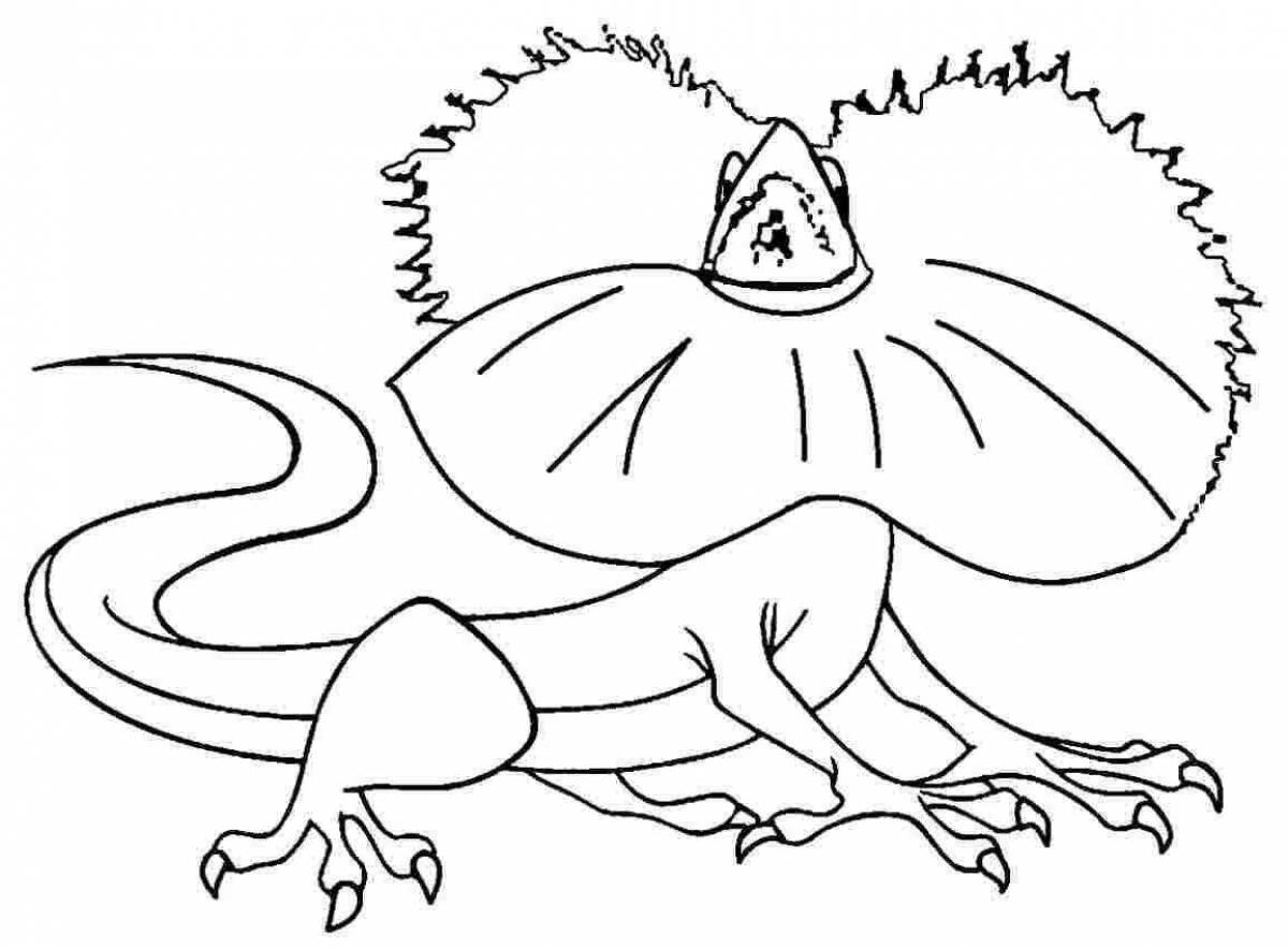 Photo Amazing frilled lizard coloring page