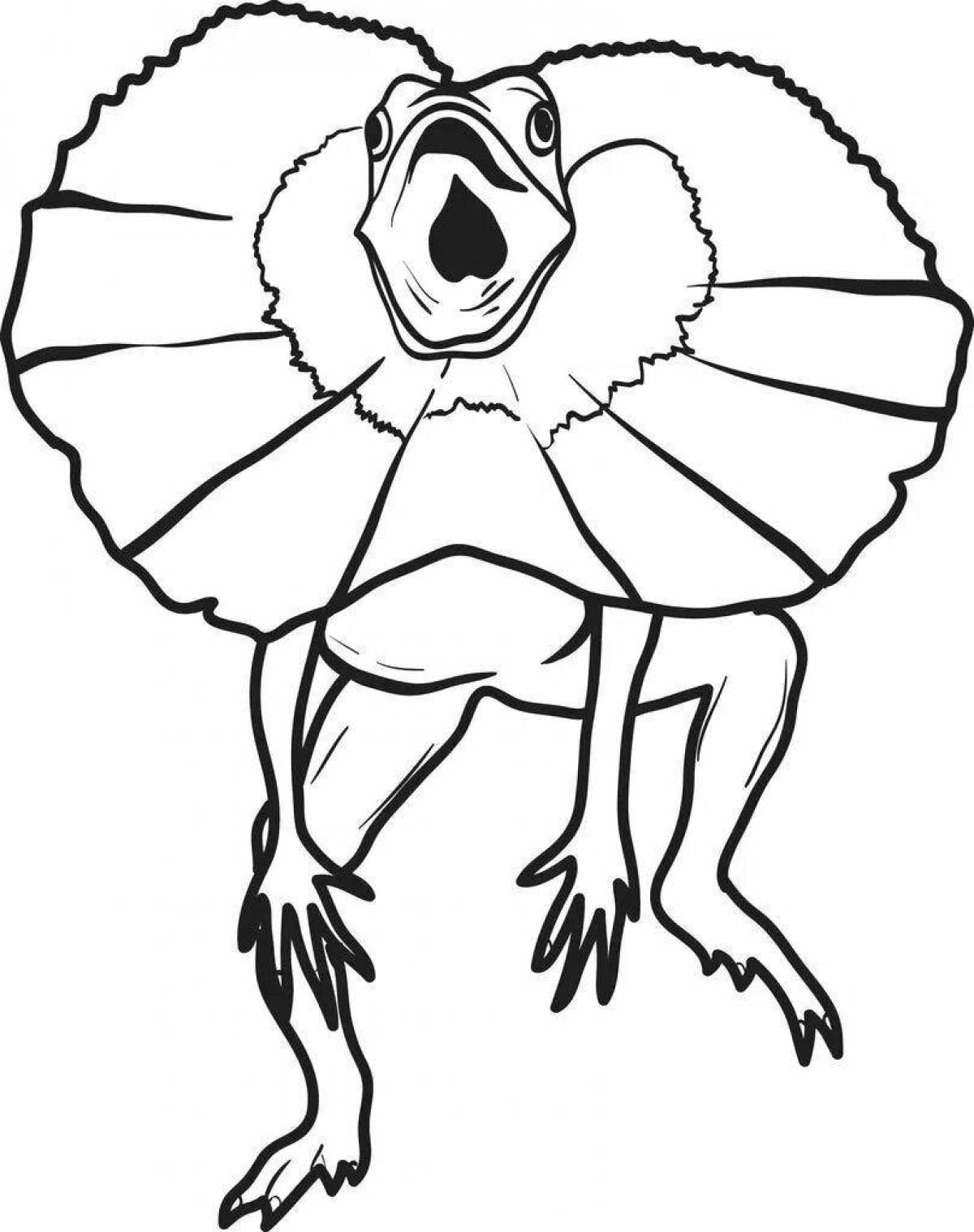 Coloring page spectacular frilled lizard