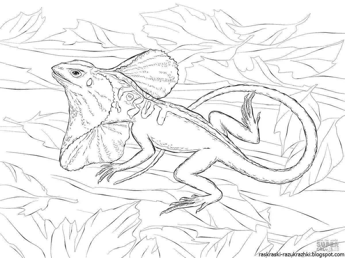 Outstanding frilled lizard coloring page