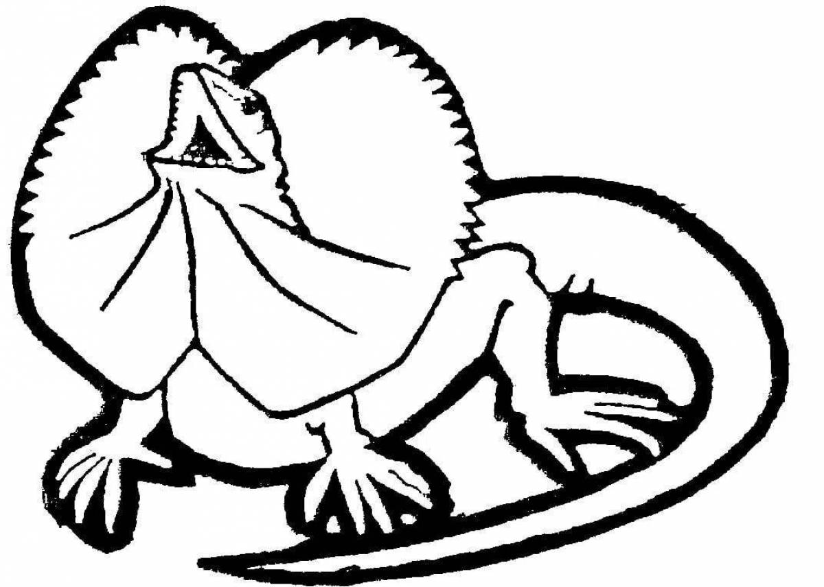 Fairy frilled lizard coloring page
