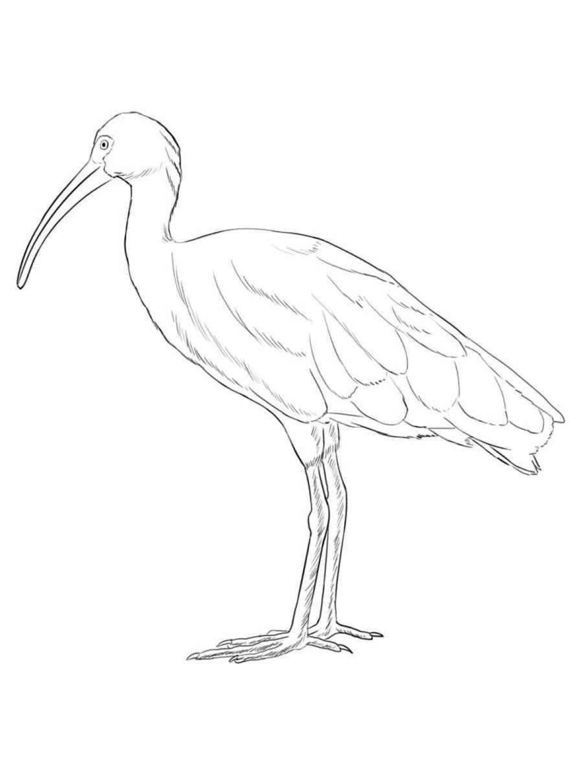 Intriguing ibis paint