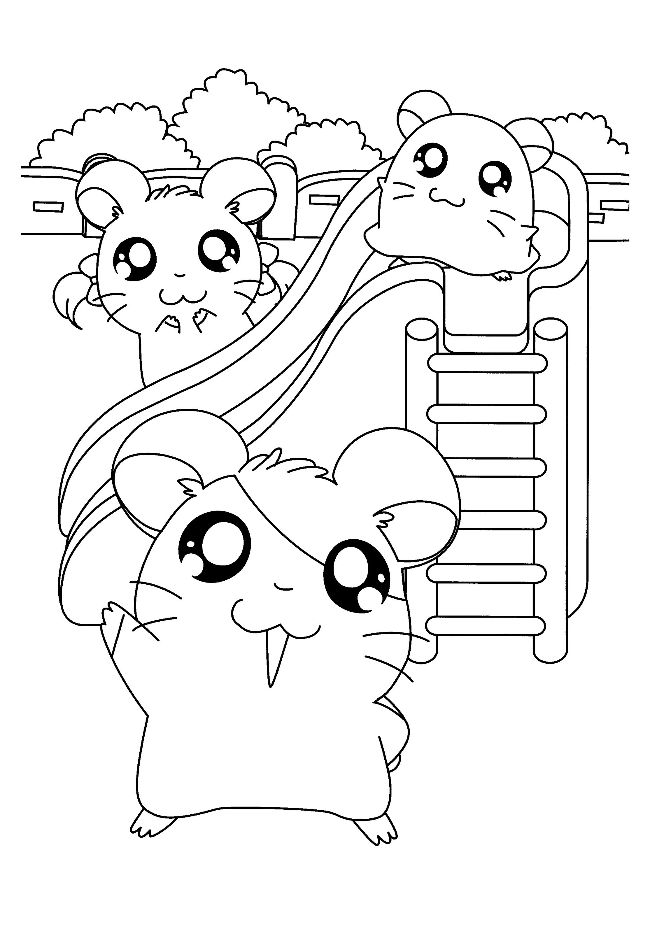 Coloring giggly for hamster girls