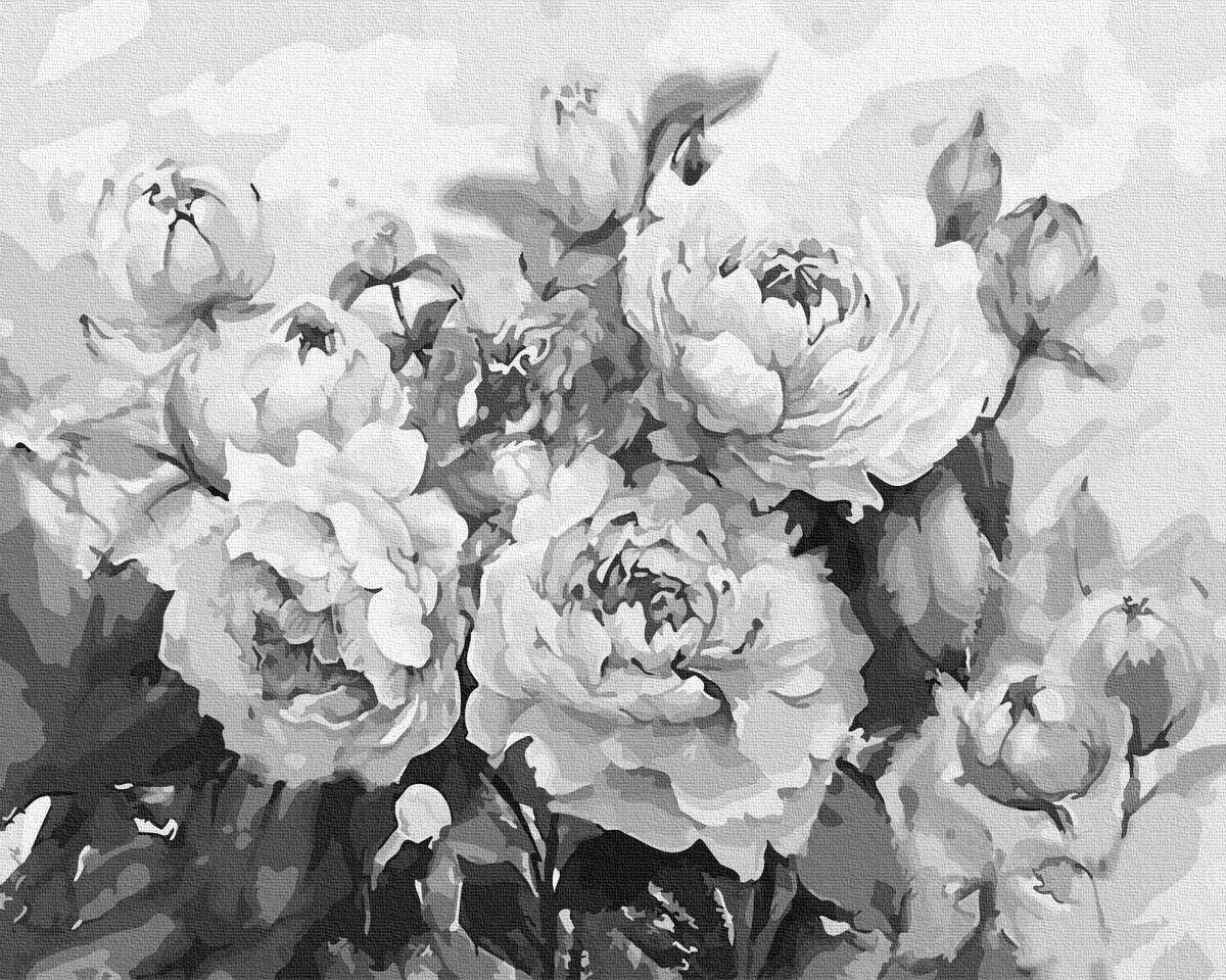 Amazing peonies coloring by numbers