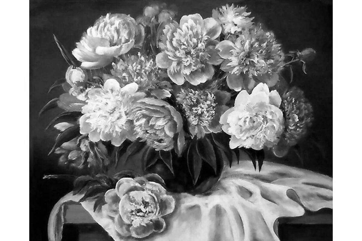 Luminous peonies coloring by numbers