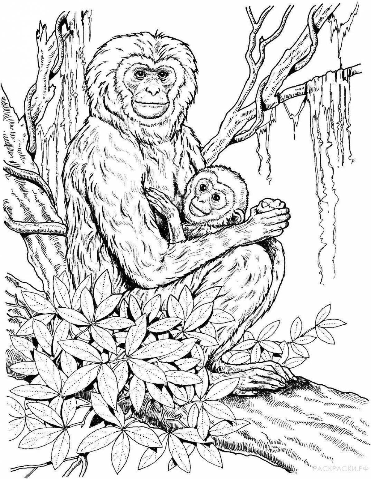 Радостный шимпанзе раскраски для детей
