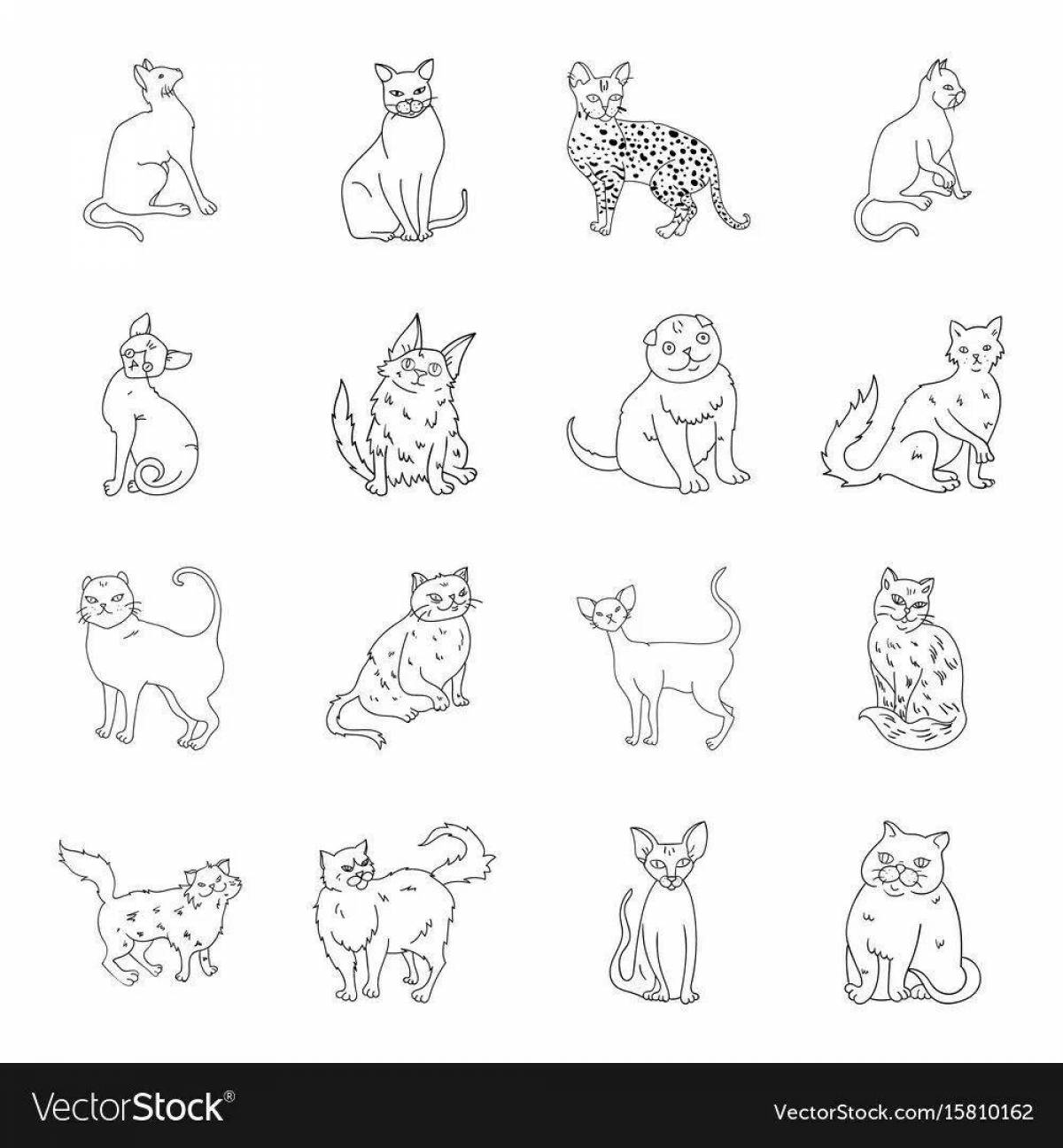 Страница раскраски стикеров fun cat