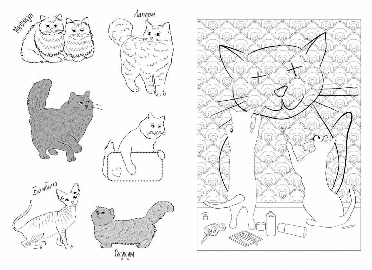 Coloring book gorgeous cat sticker