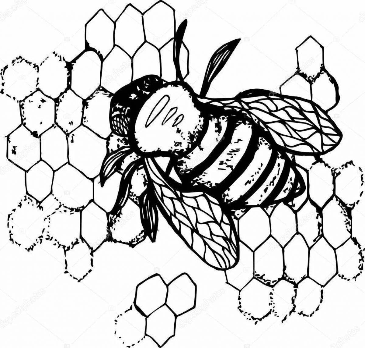 Раскраска соты пчелиные