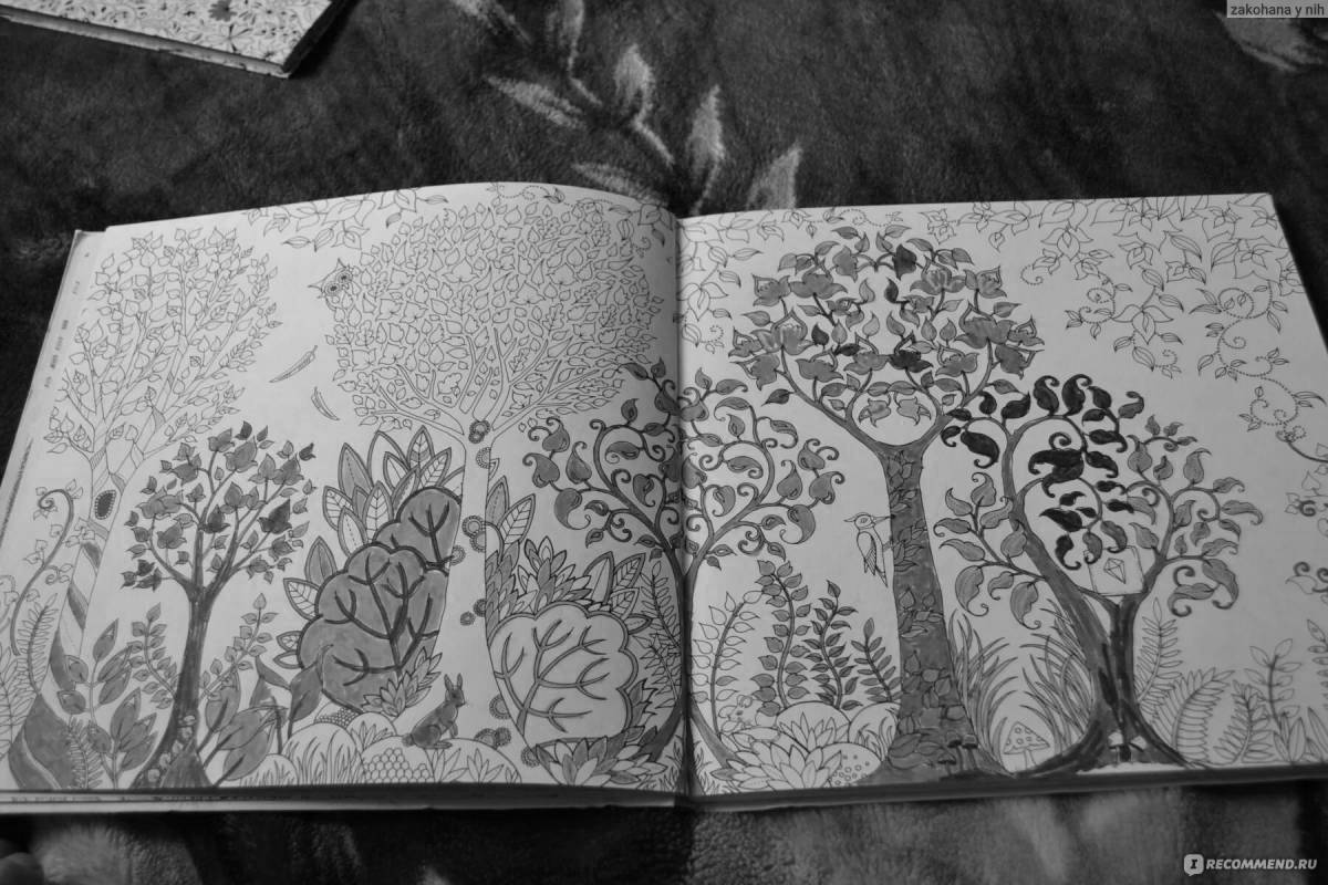 Coloring page mysterious forest