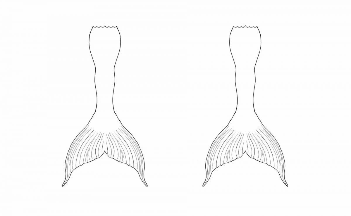 Gorgeous tail coloring for kids