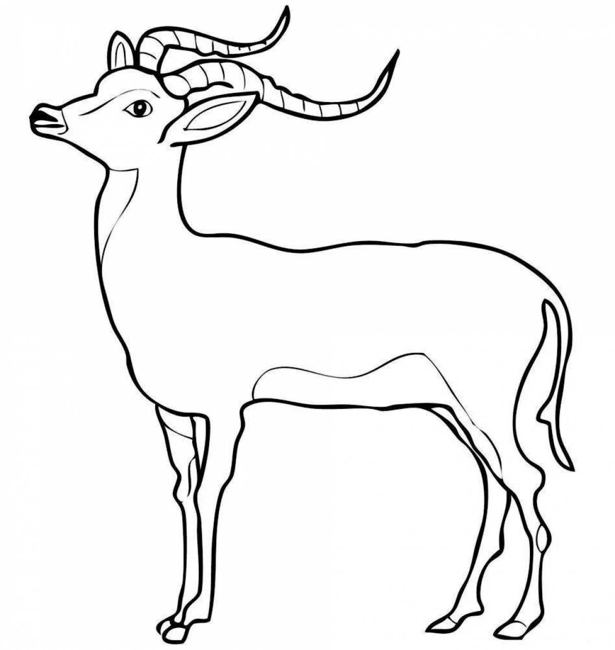 Bright antelope coloring book for kids