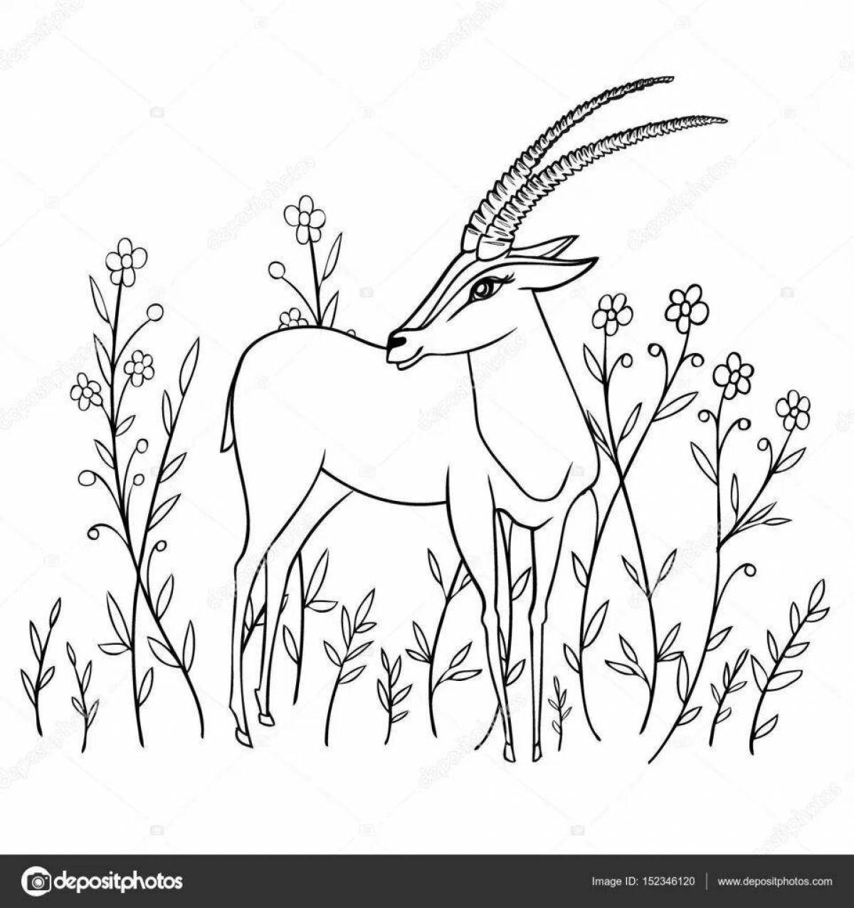 A funny antelope coloring book for kids