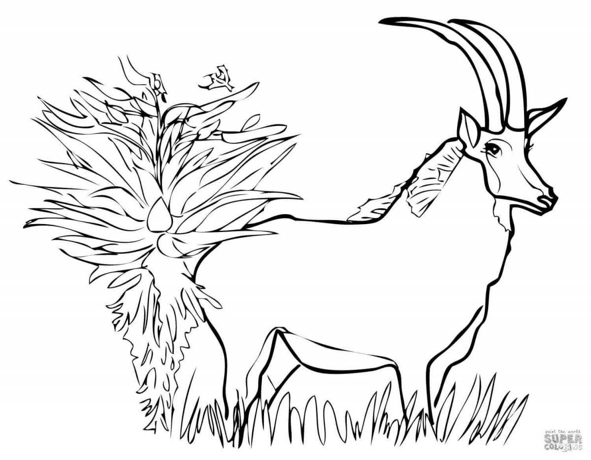 Игривая раскраска антилопы для детей