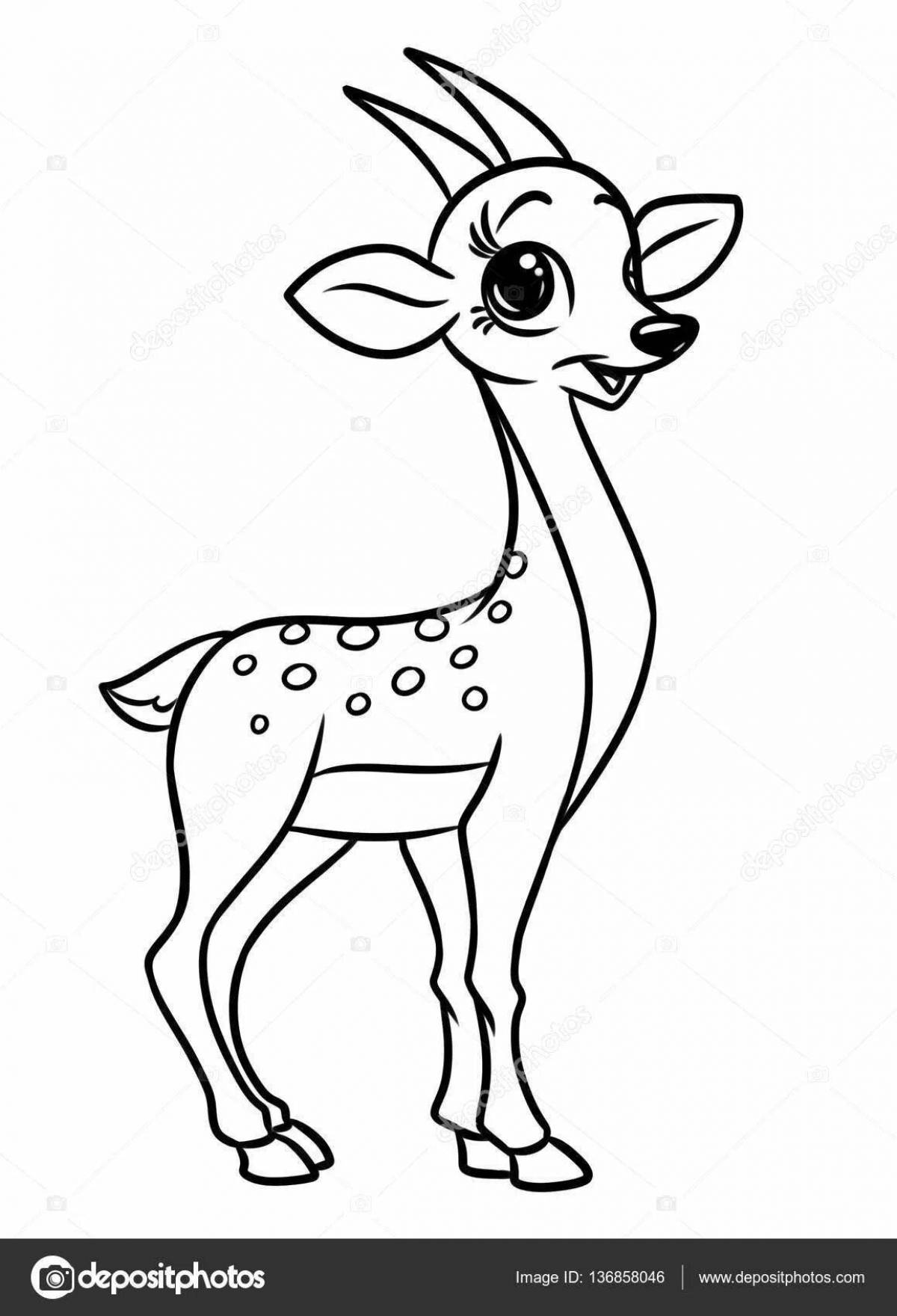 Photo A fun antelope coloring book for kids