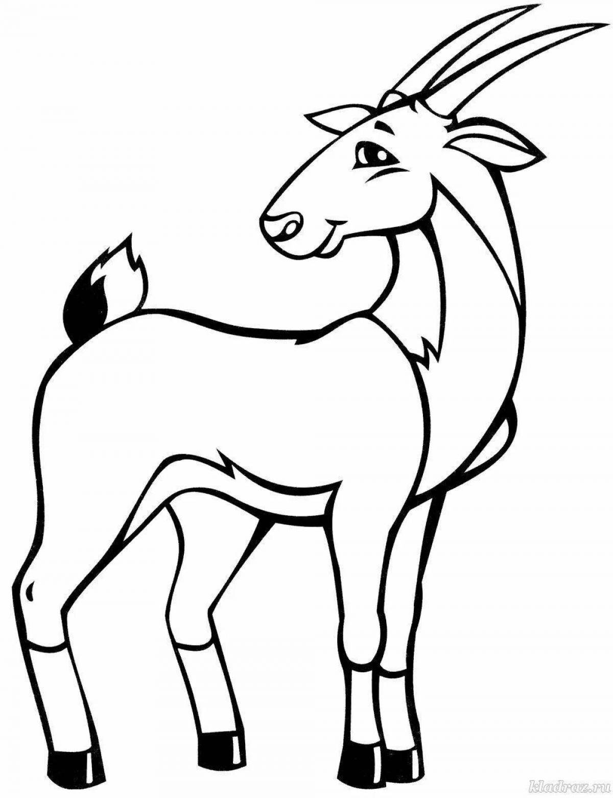 Photo Adorable antelope coloring book for kids