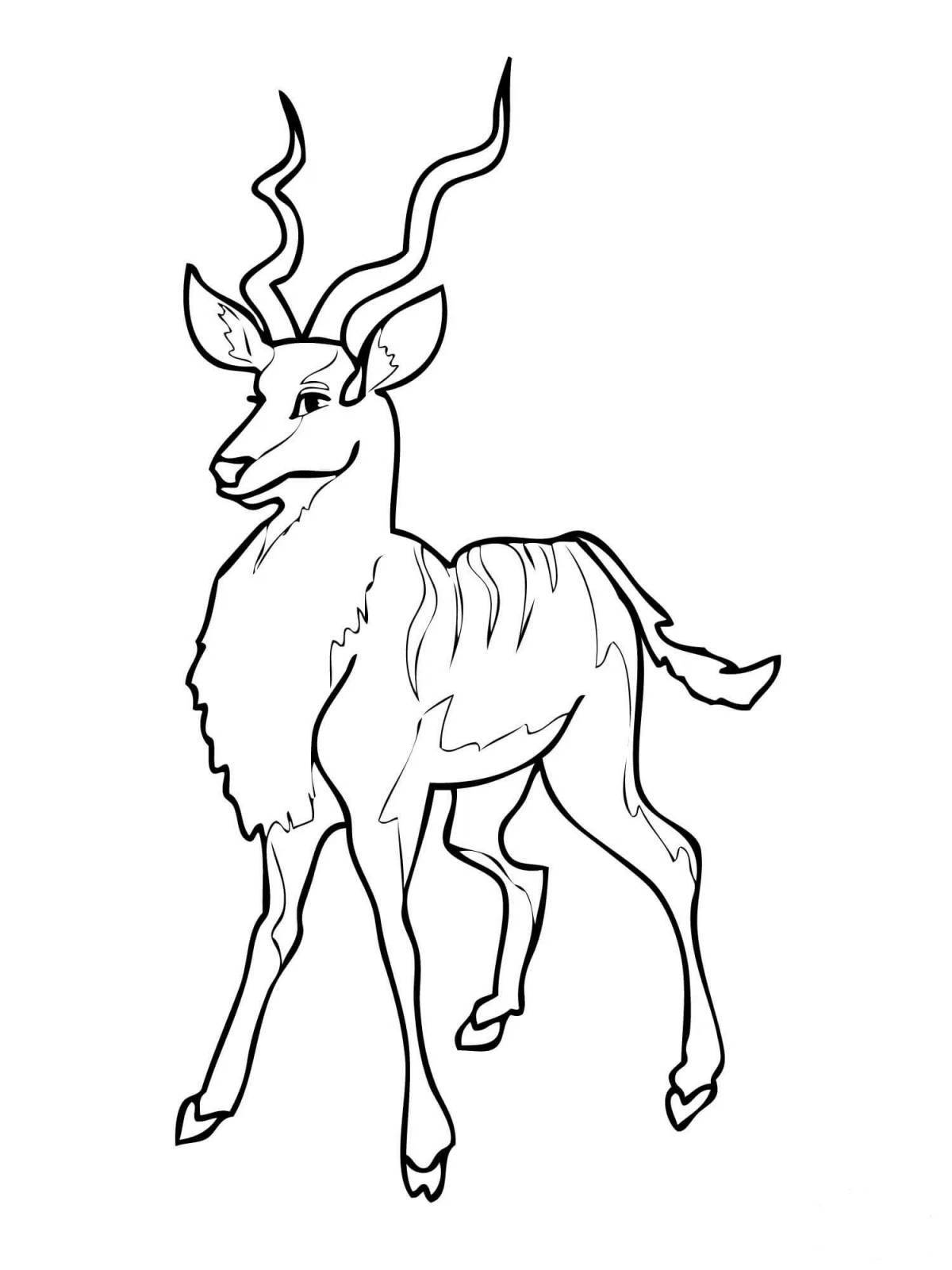 Cute antelope coloring book for kids