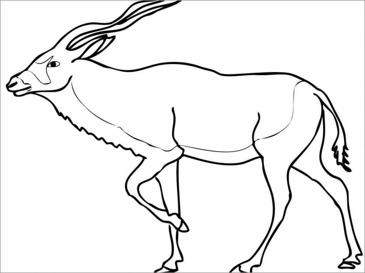 Glorious antelope coloring book for kids