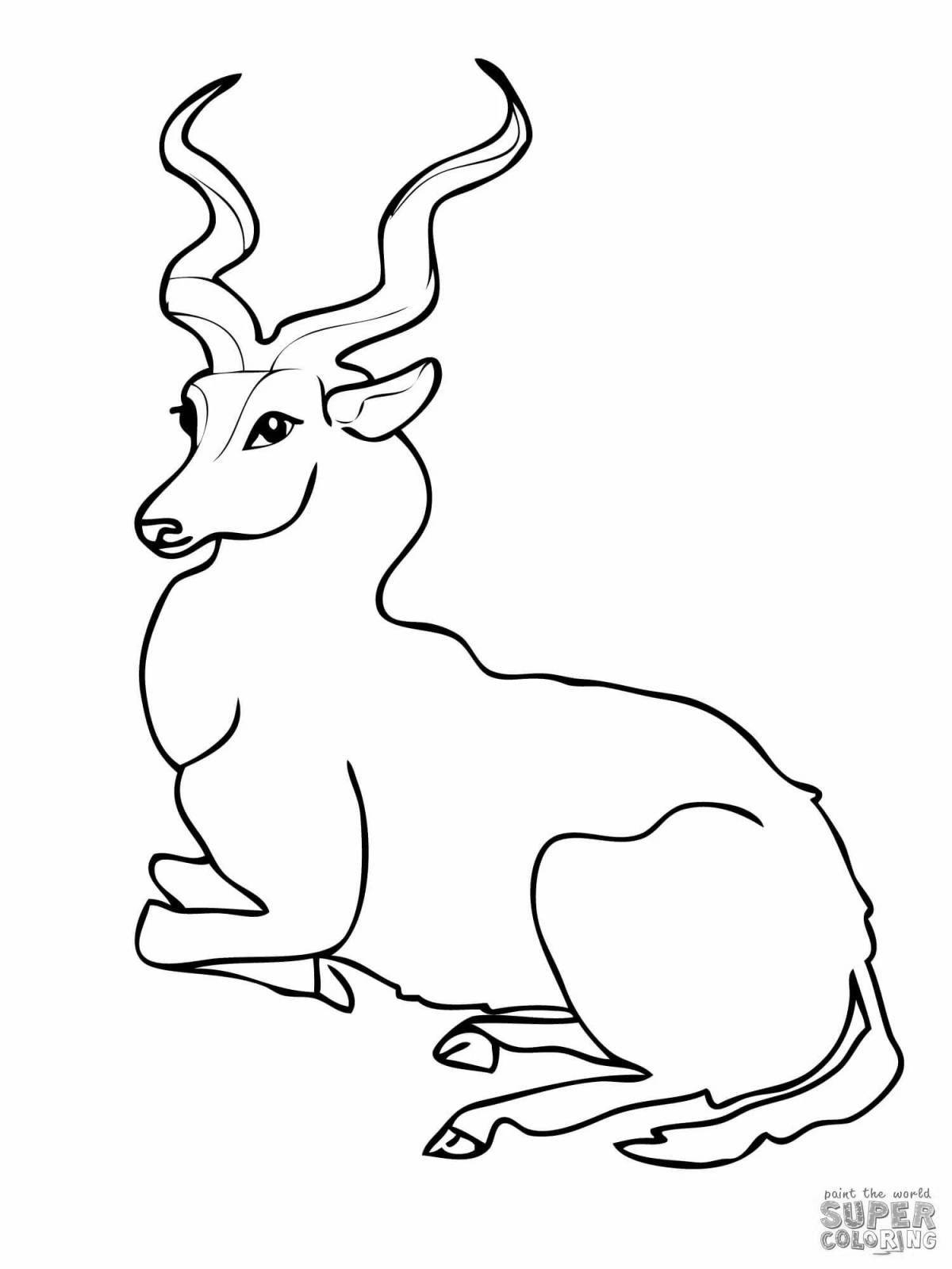 Great antelope coloring book for kids