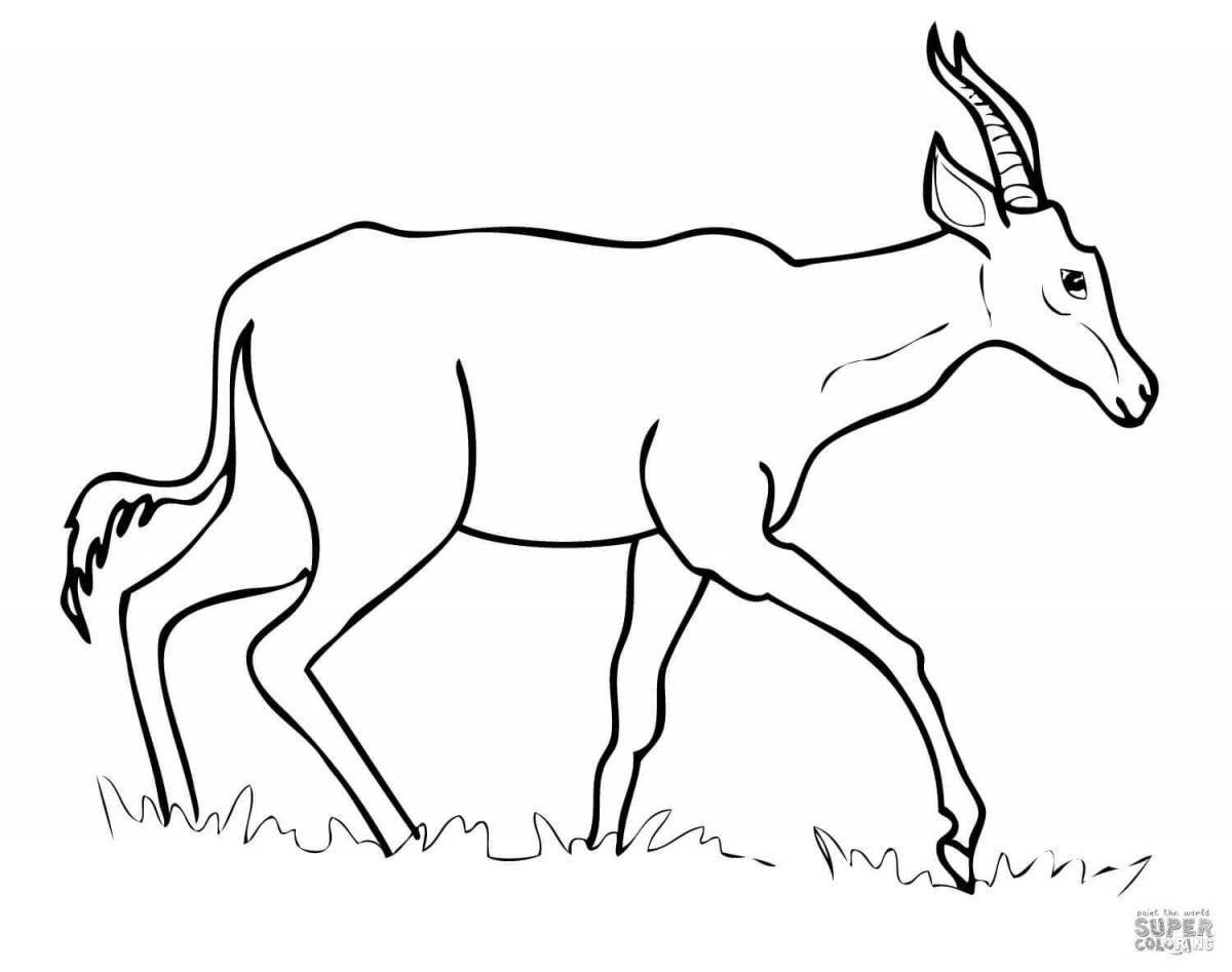 Невероятная раскраска антилопы для детей