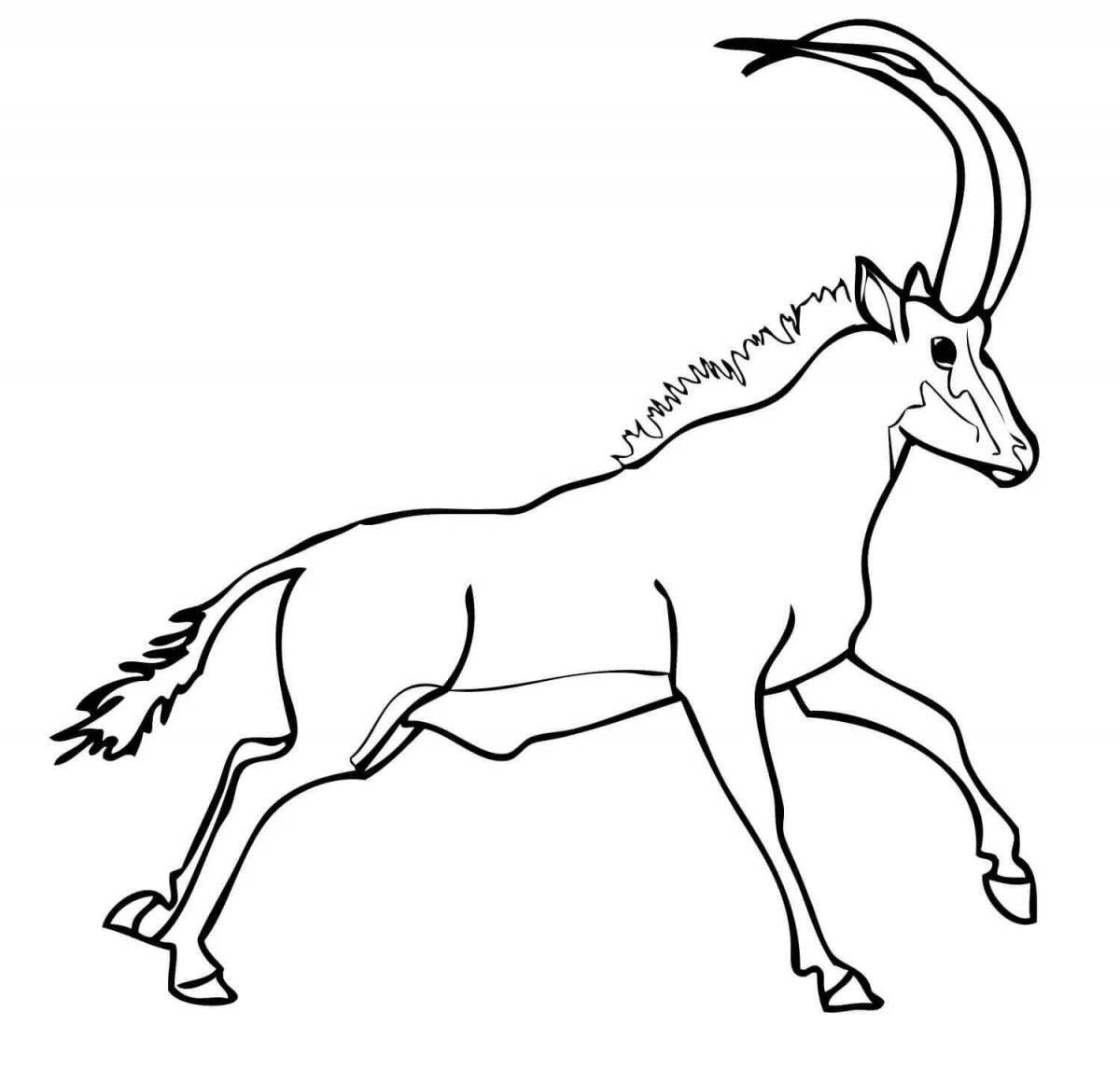 Photo Awesome antelope coloring pages for kids