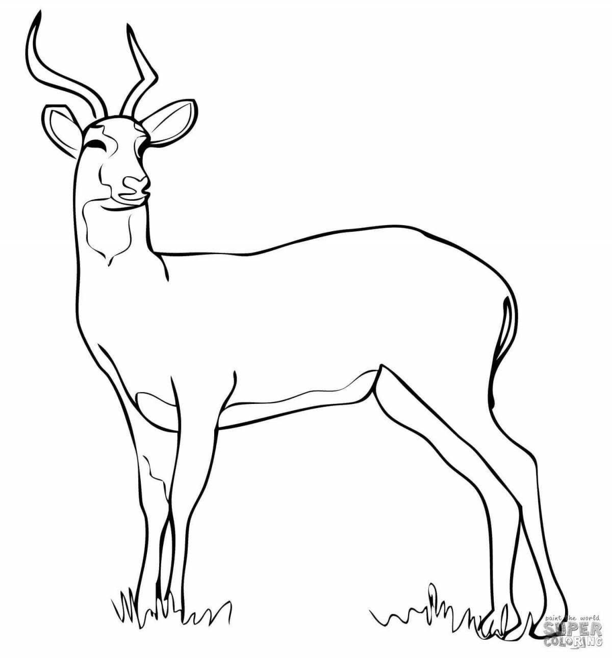 Outstanding antelope coloring book for kids