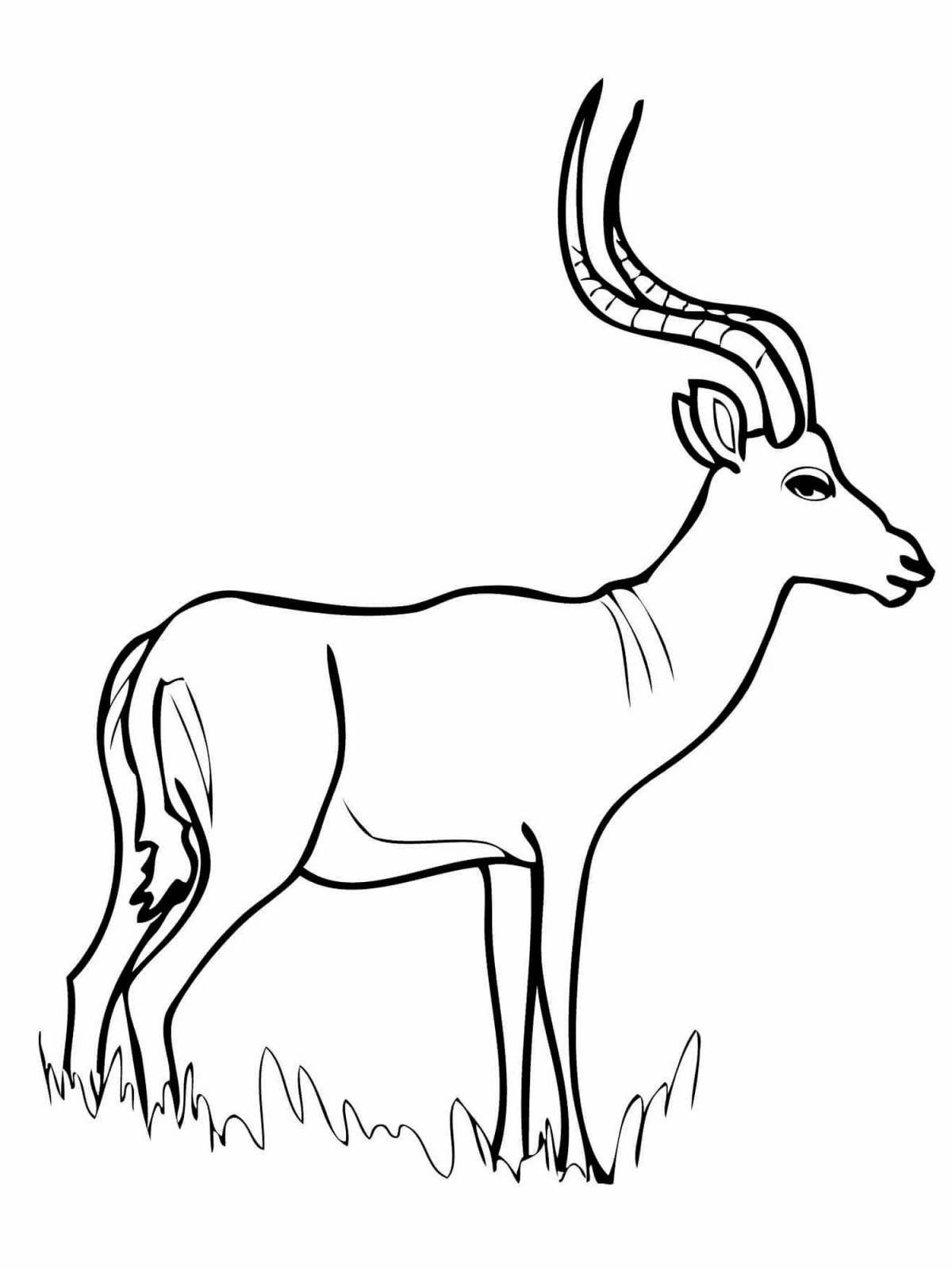 Creative antelope coloring book for kids