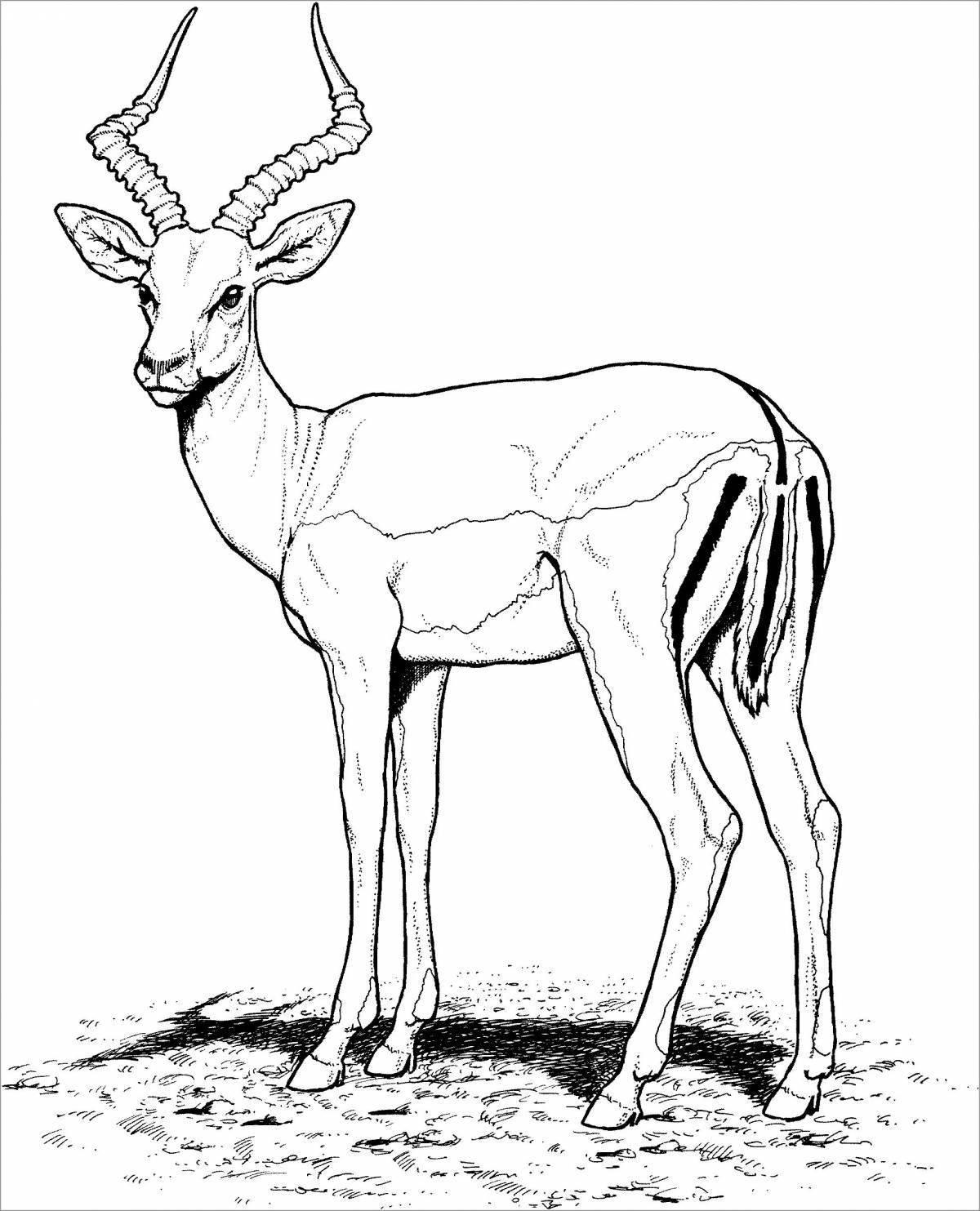 Unique antelope coloring book for kids