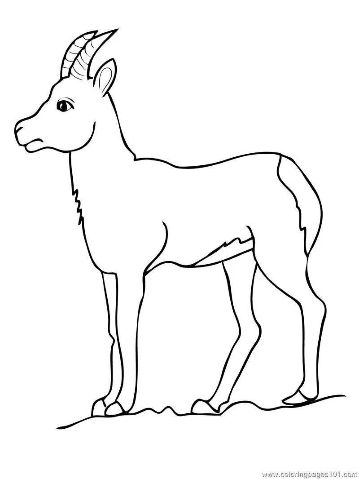 Photo Amazing antelope coloring book for kids