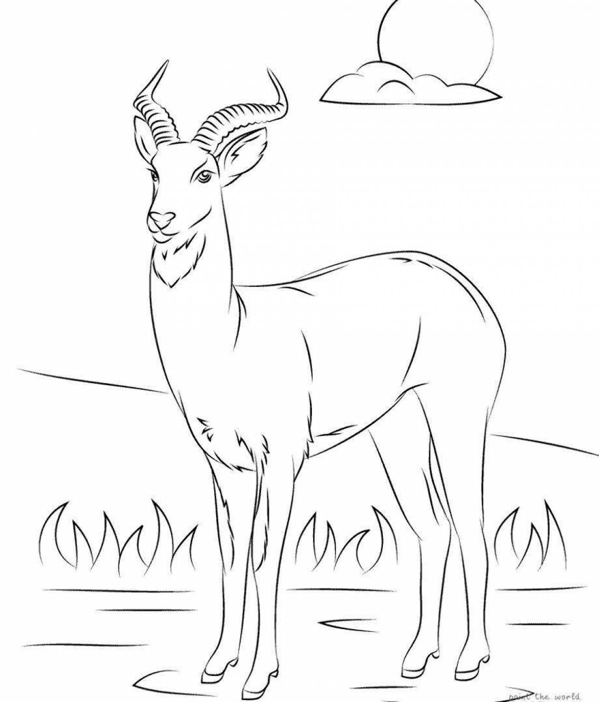Attractive antelope coloring book for kids