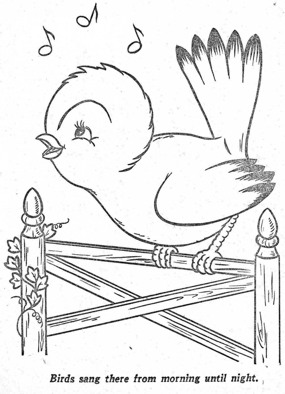 Joyful siskin coloring pages for kids