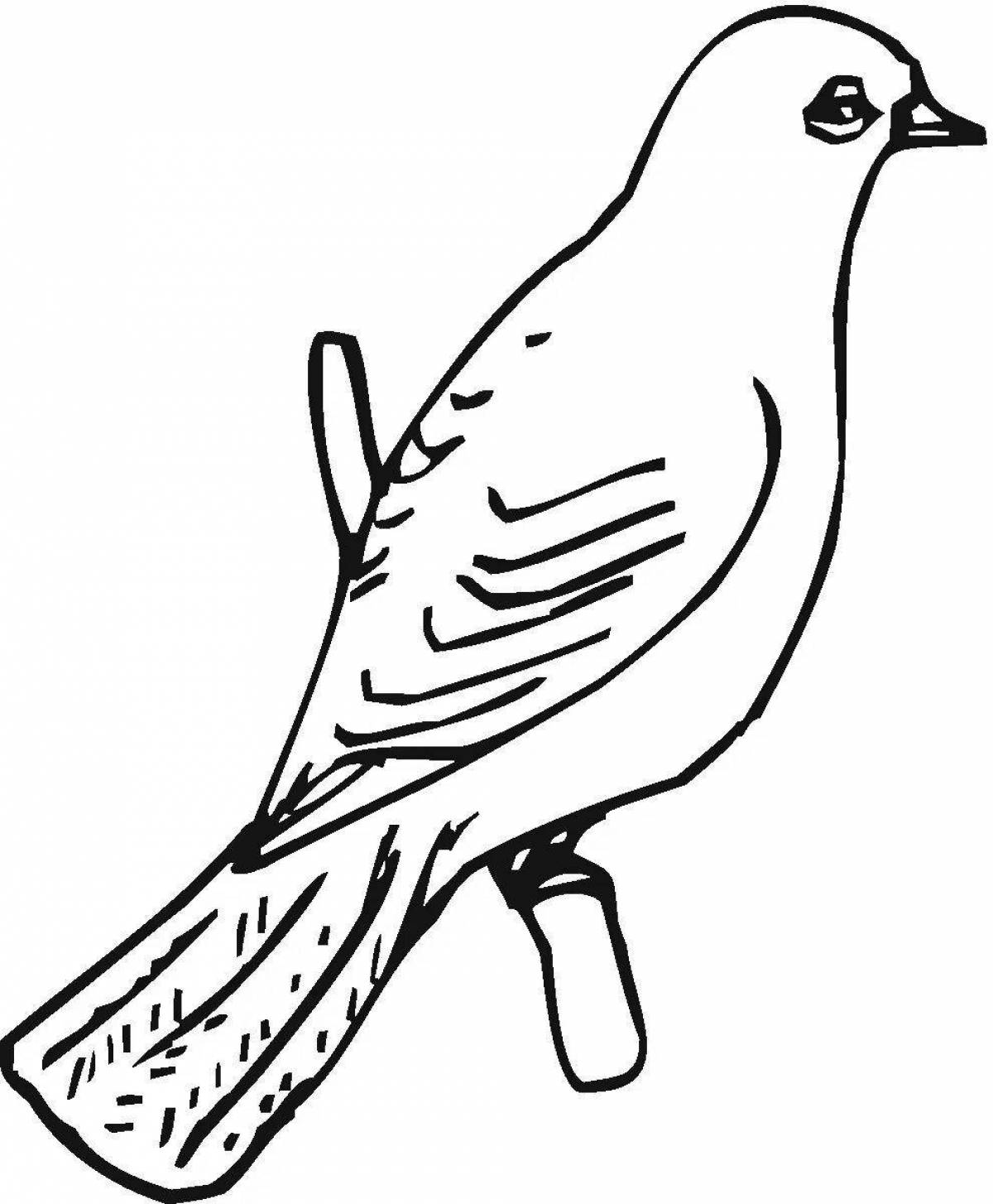 Amazing siskin coloring book for kids