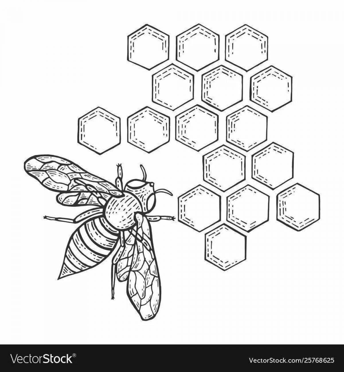 Great honeycomb coloring book for preschoolers