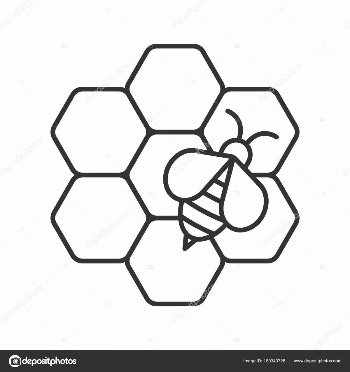 Exquisite honeycomb coloring book for beginners