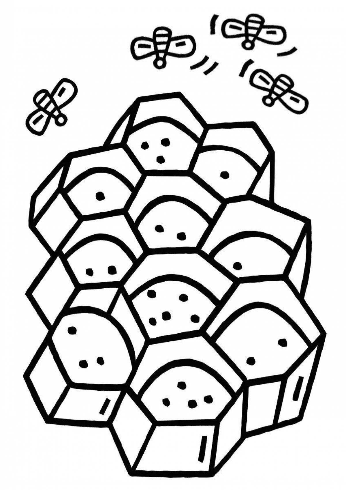 Flawless Honeycomb coloring book for preschoolers