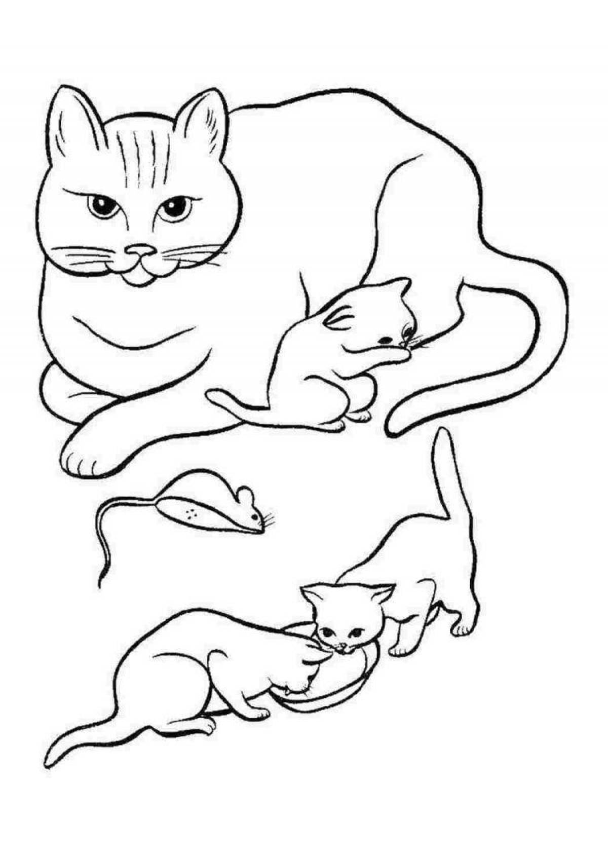 Дружелюбная раскраска домашние животные кошка